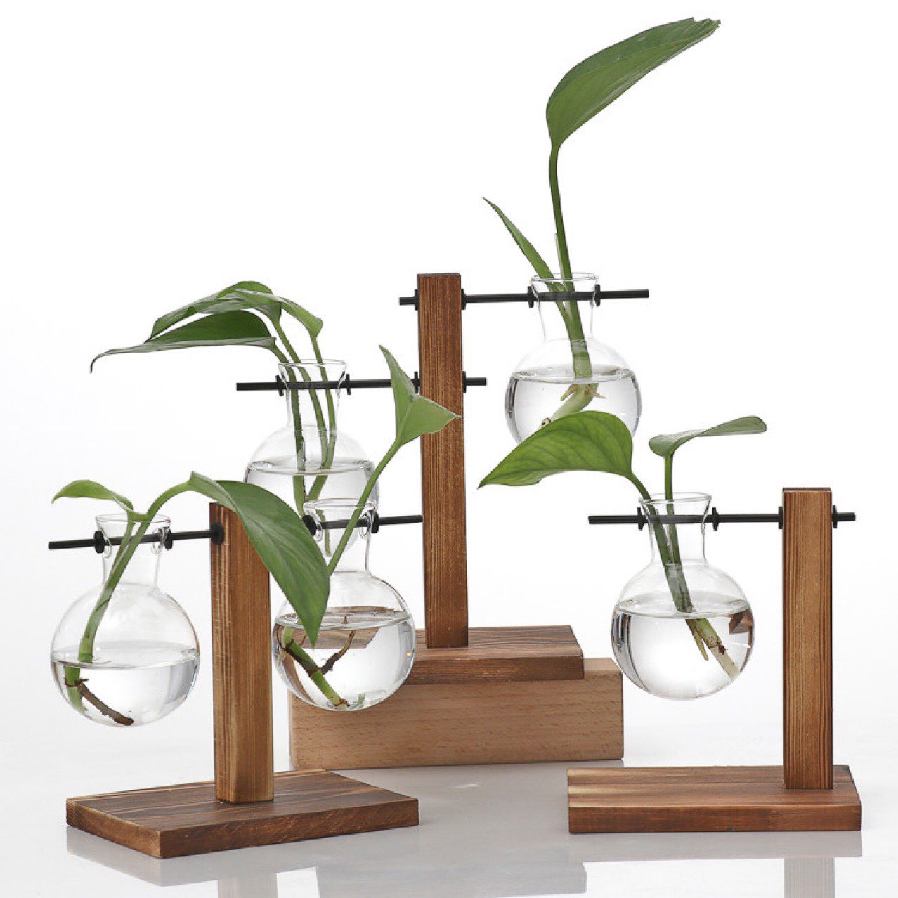 T Stand Water Plant Glass Bulb Vase